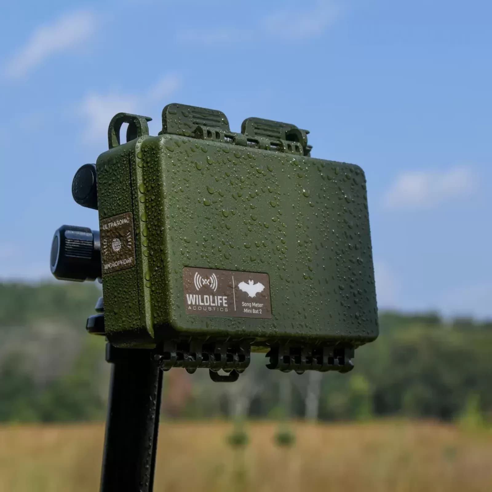 Arriendo y alquiler de Song Meter Mini Bat 2 AA (Wildlife Acoustics) - Equipos para estudios de fauna en Chile | FAMBA