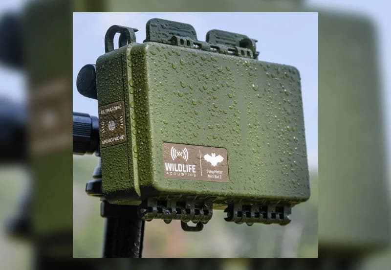 Arriendo de equipos para estudios de fauna