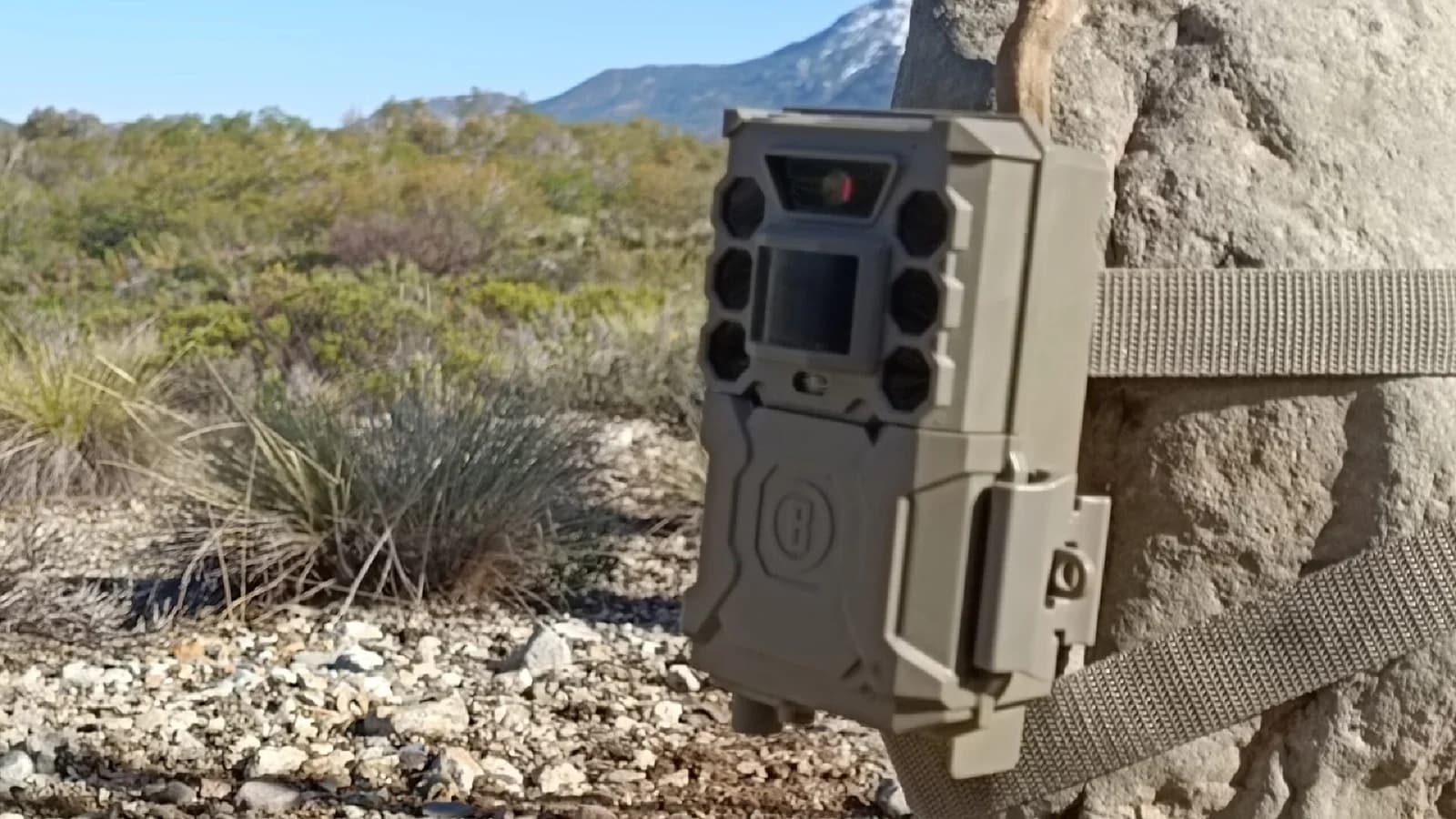 Análisis profesional