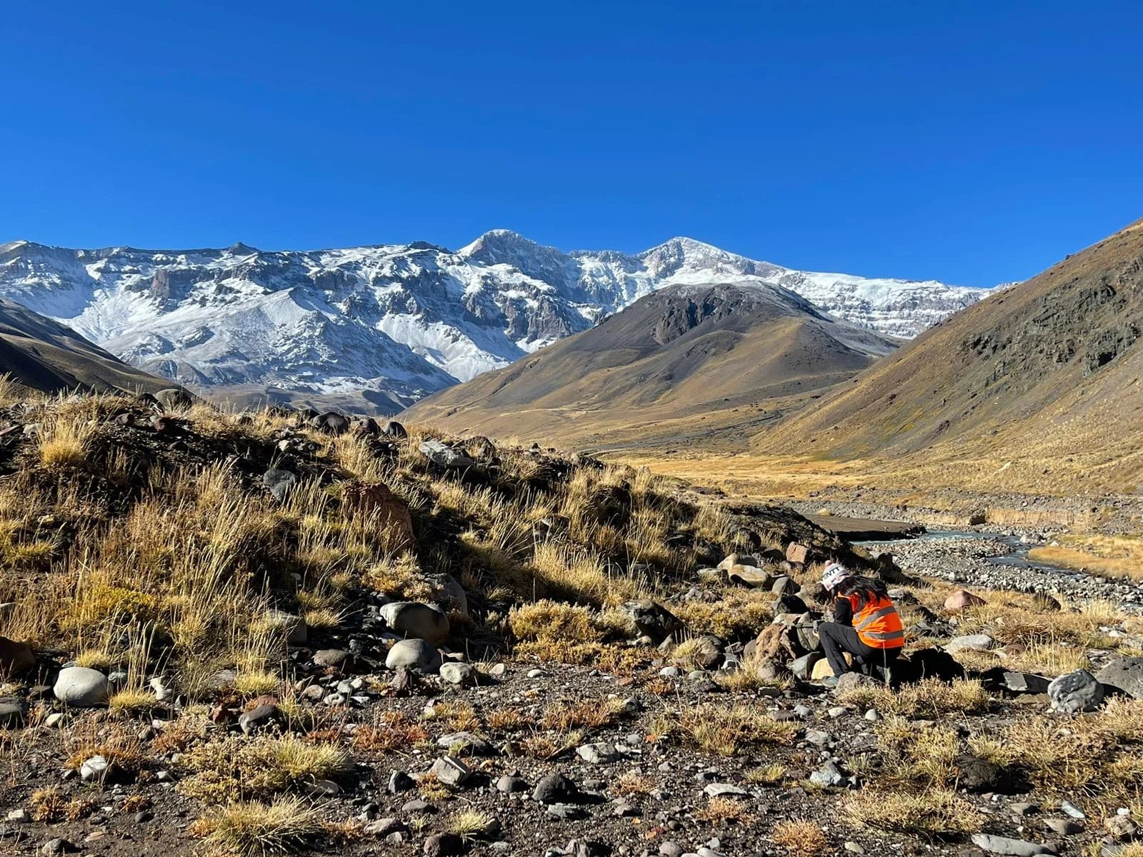 Proyecto ambiental FAMBA - Imagen 1