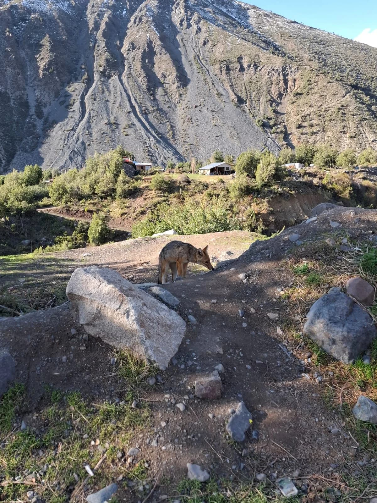 Proyecto ambiental FAMBA - Imagen 2