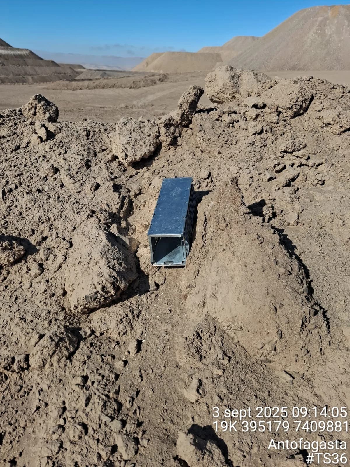 Proyecto ambiental FAMBA - Imagen 3