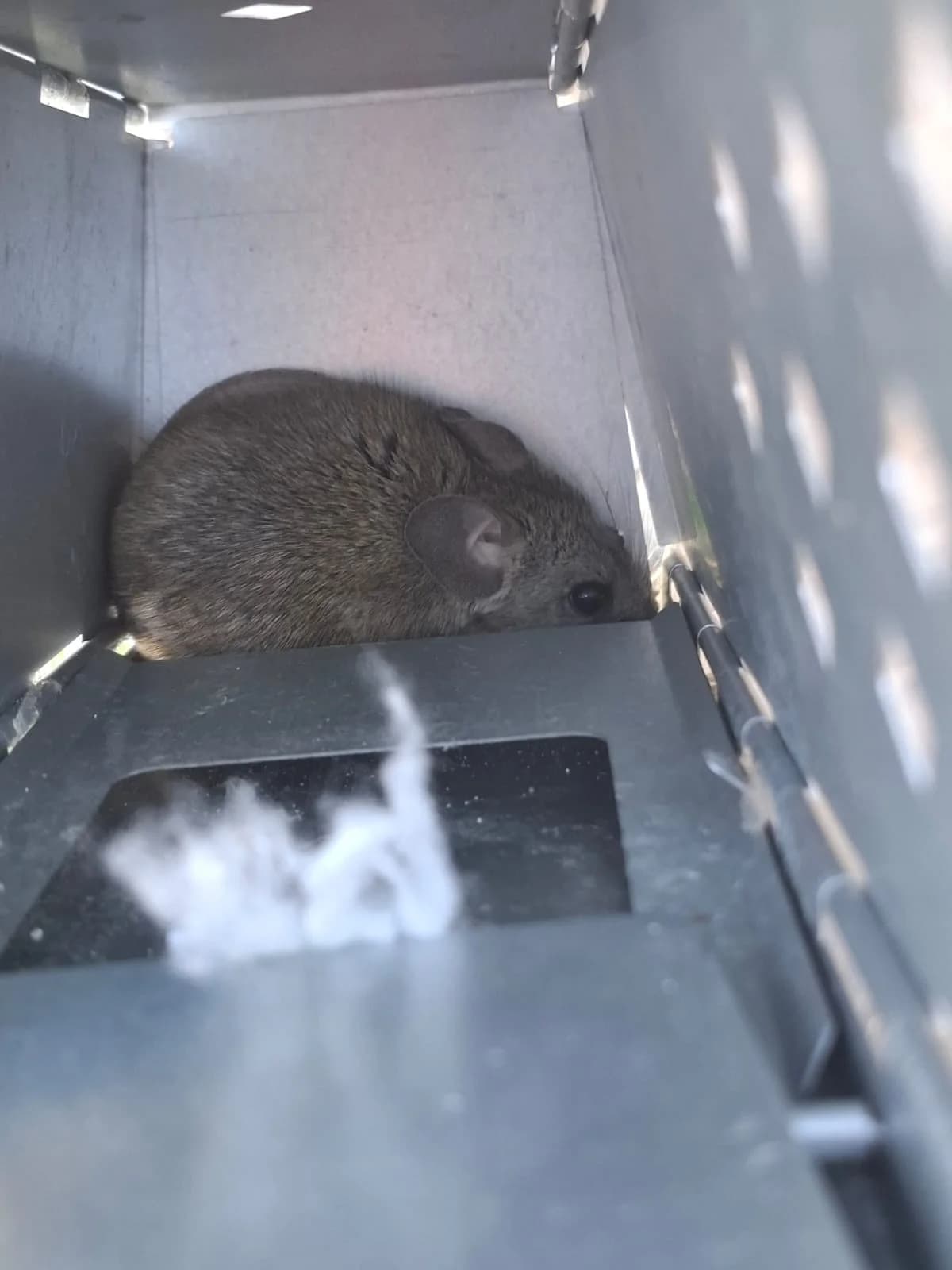 Proyecto ambiental FAMBA - Imagen 4