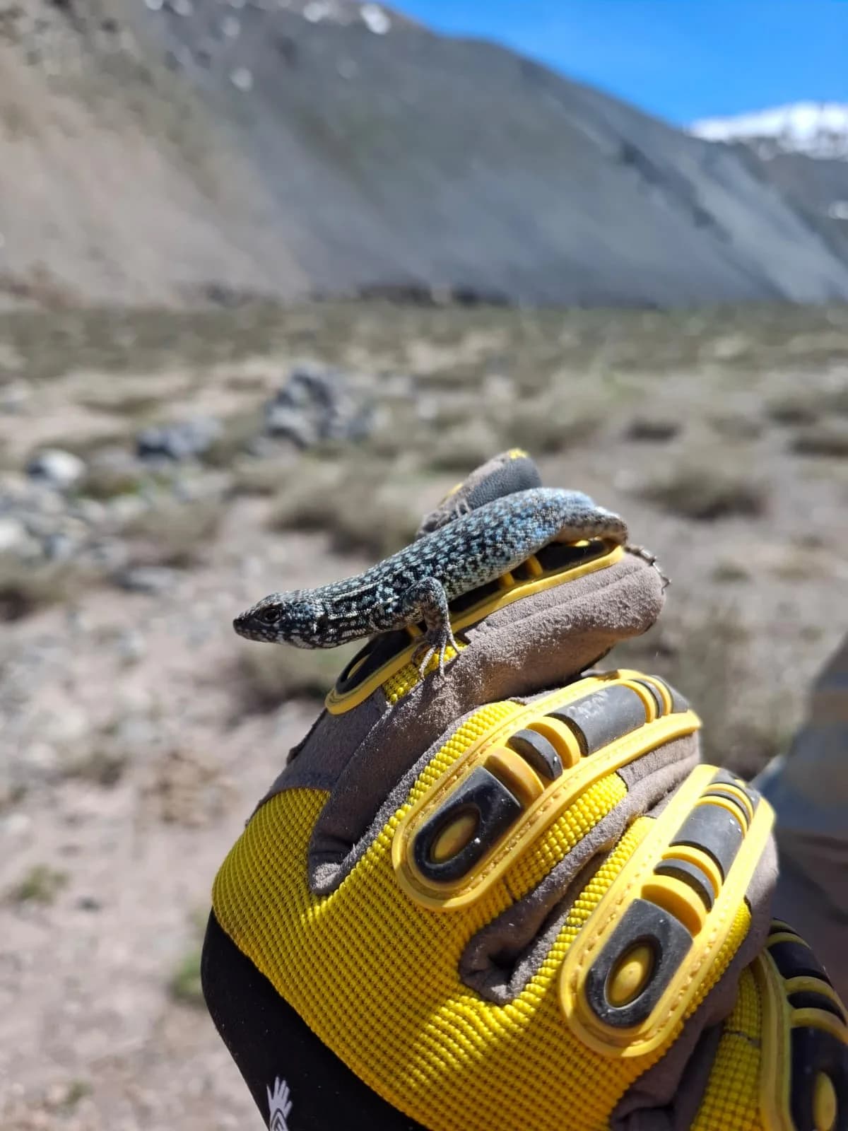 Proyecto ambiental FAMBA - Imagen 5