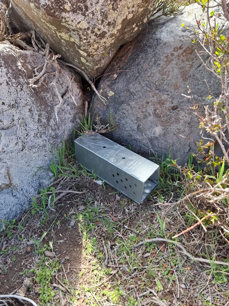 Proyecto ambiental FAMBA - Imagen 7