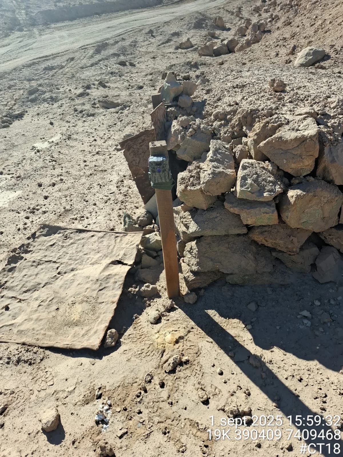 Proyecto ambiental FAMBA - Imagen 8